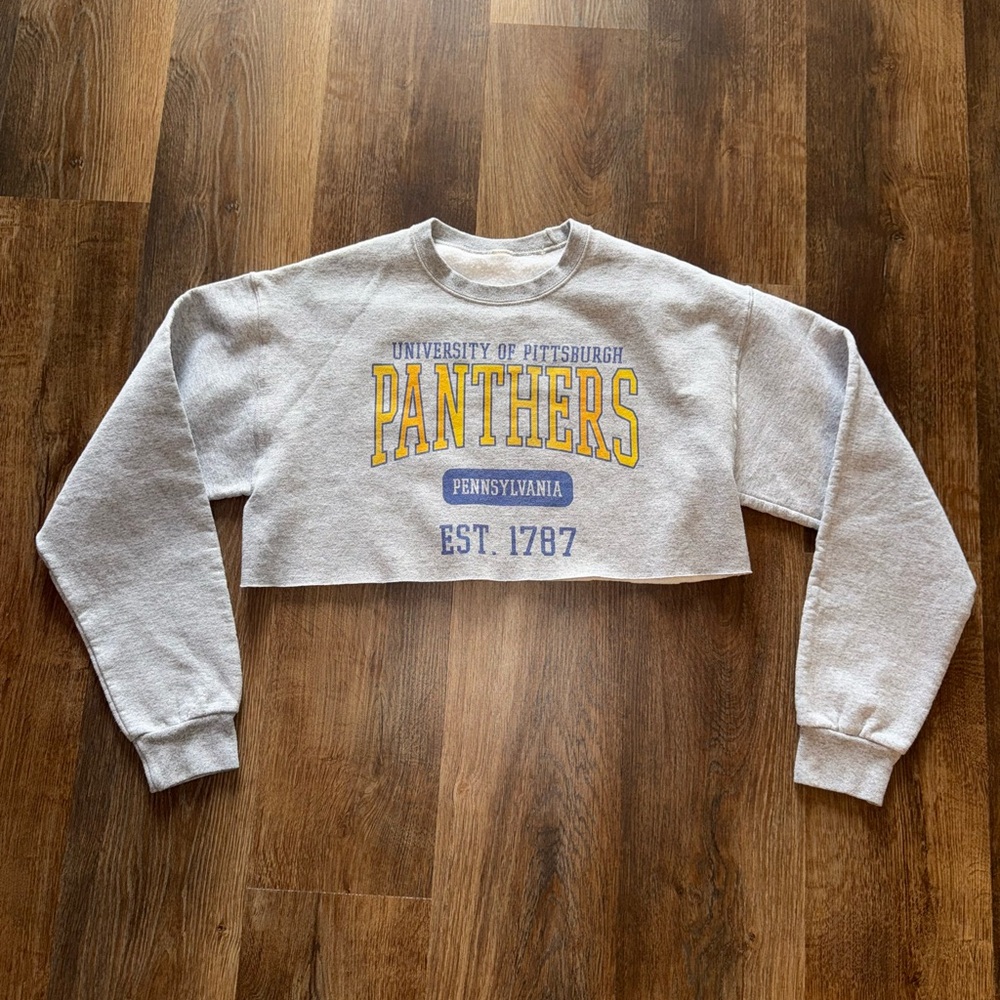 Gray University of Pittsburgh Panthers Cropped Sweatshirt
